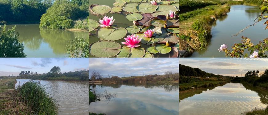 Harbour Bridge lakes images